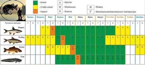 Причины, по которым рыба не клюет в холодную погоду