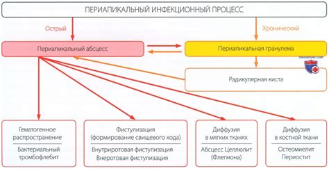 Причины и механизмы