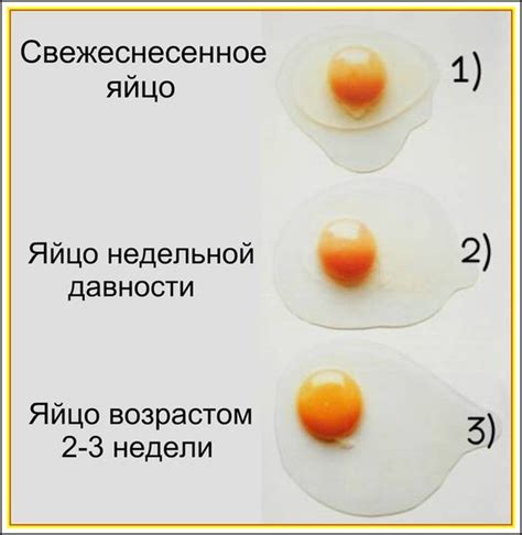 Причины неприятного запаха у свежих куриных яиц