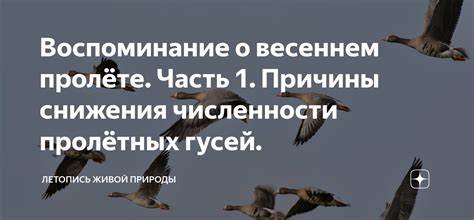 Причины отсутствия живой природы