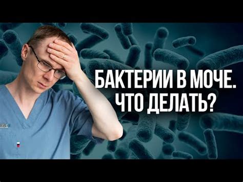 Причины повышенного содержания плоского эпителия в моче у мужчин