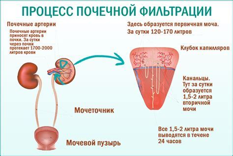 Причины развития плешины у мужчин