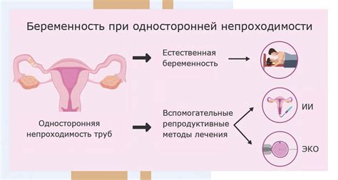 Причины сращивания маточных труб