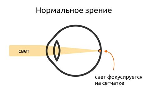 Причины увеличенной чувствительности глаз