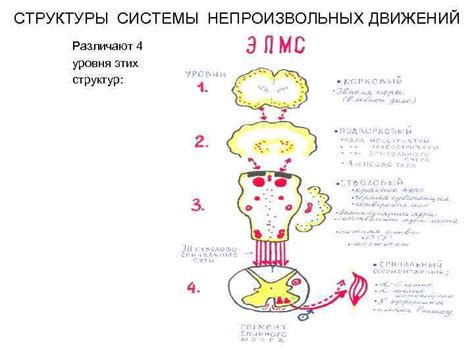 Проблемы непроизвольных телодвижений