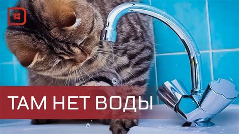 Проблемы с водоснабжением в доме