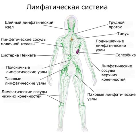 Проблемы с лимфатической системой