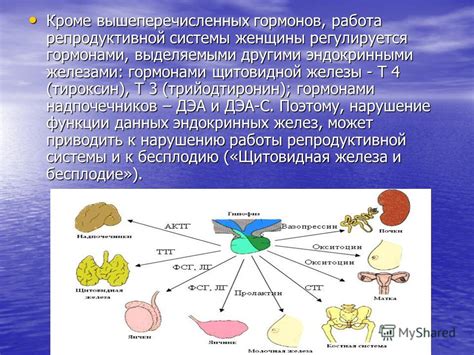 Проблемы с маткой и трубами