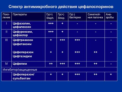 Продолжительность действия антибиотиков: основные моменты