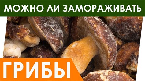 Продолжительность хранения жареных грибов в морозилке