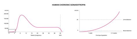 Пропущен максимальный пик гормонов