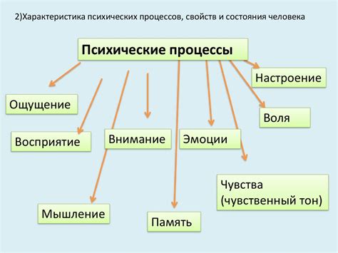 Процессы, влияющие на конвекцию