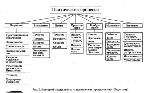 Процессы взросления