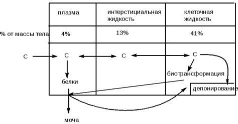 Процессы распределения вещества внутри объема