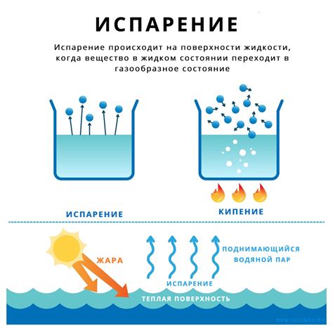 Процесс испарения и формирование пузырьков