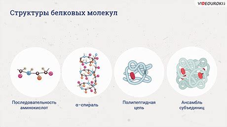 Процесс покаед, почему нельзя синтезировать белки