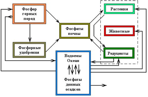 Прошлые положительные взаимодействия