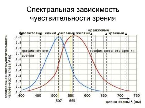 Психофизиологические особенности восприятия цветов радуги