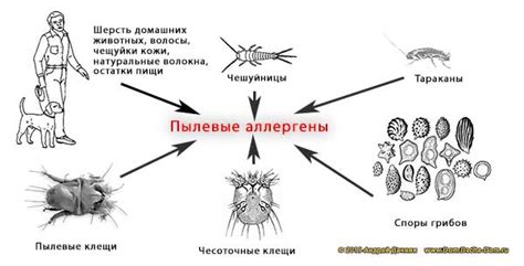 Пыль и аллергены в воздухе: