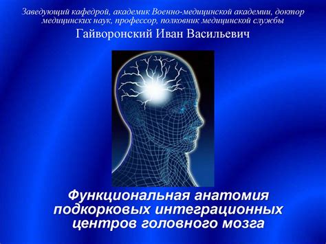 Работа подкорковых участков головного мозга