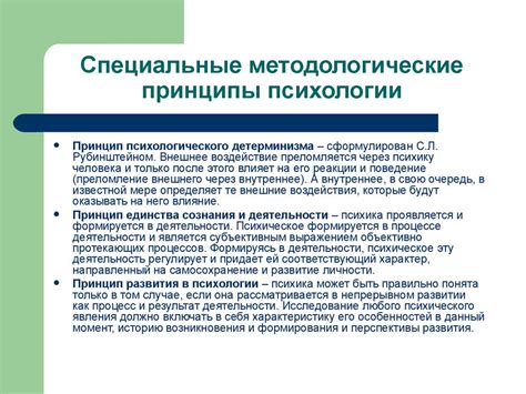 Разбор популярных теорий личности: основные принципы исследования