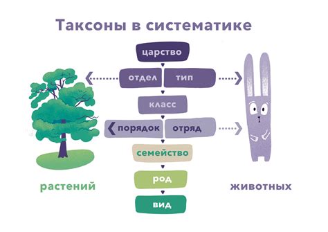 Развитие науки требует обновления подходов в систематике