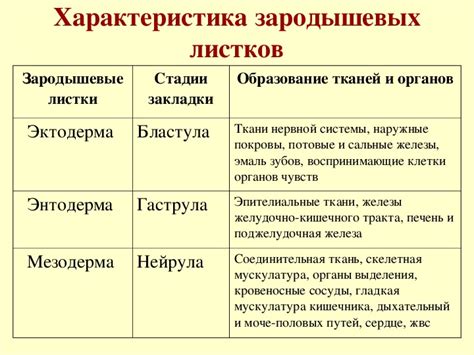 Развитие органов и систем