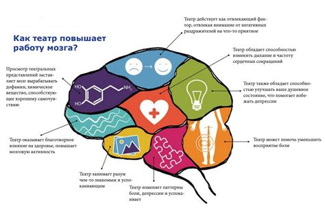 Раздел 6: Влияние факторов на работу мозга