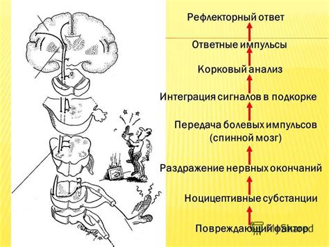 Раздражение нервных окончаний в горле