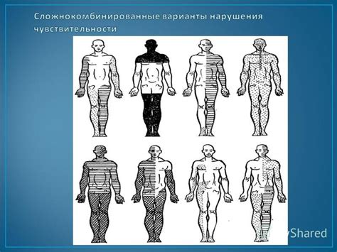 Раздражители окружающей среды: