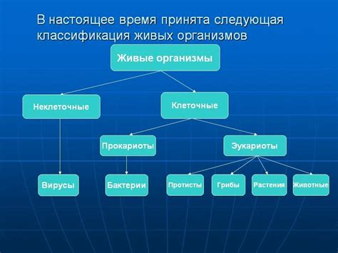 Различия в биологической классификации