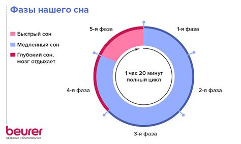 Различные стадии сна