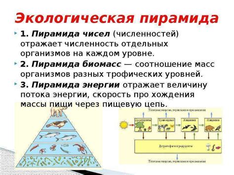 Различные факторы, влияющие на перенос вещества