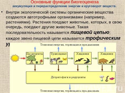 Размножение и проблемы с популяцией