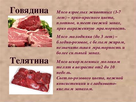 Разница в калорийности между свининой и другими мясами