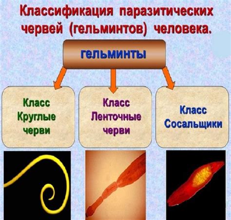 Разновидности паразитического поведения