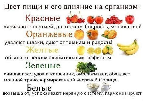 Разнообразие пищи и его положительное влияние на организм