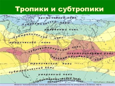 Расположение у побережья и тропики