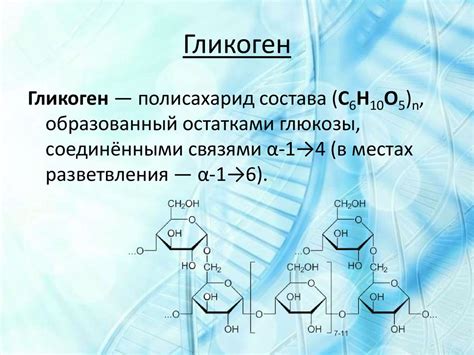 Распределение гликогена в организме и его роль