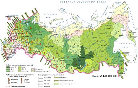 Распределение лесных ресурсов