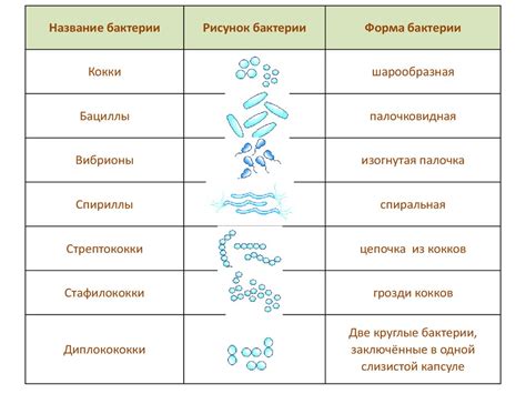 Распространение бактерий и грязи