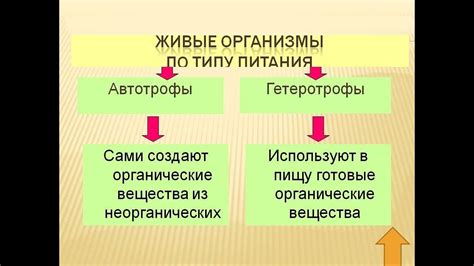 Растения автотрофны, животные гетеротрофны: причины этого различия