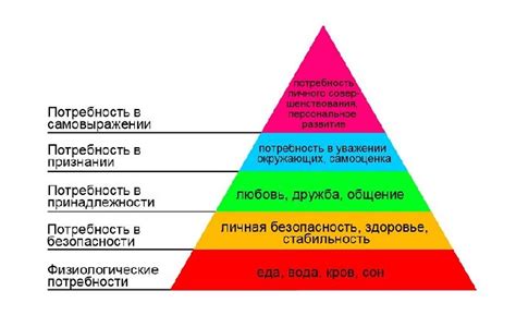 Растущие организмы и их потребности