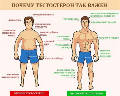 Растягиваются в порыве оседать естественным образом на мужской манер