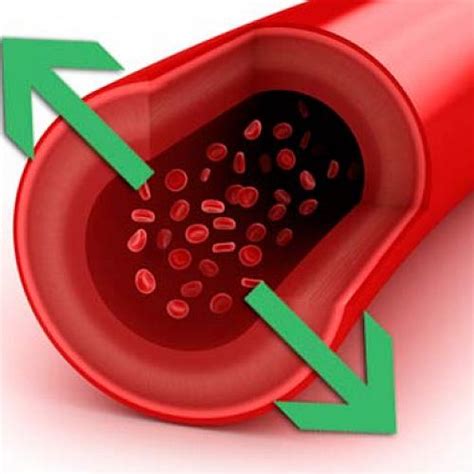 Расширение и сужение сосудов