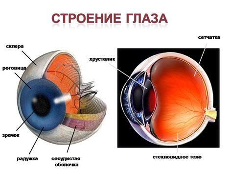 Расширение сосудов глазных яблок