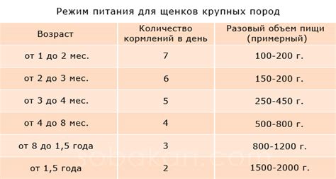 Рацион питания и режим кормления