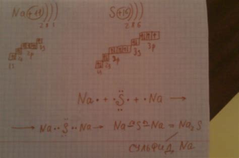 Реактивность атомов натрия и серы