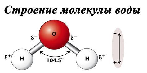 Реакция молекул воды и соли