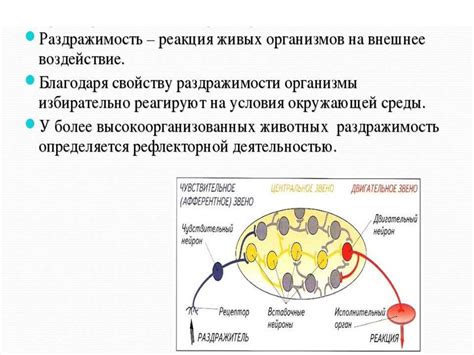 Реакция на различные части тела